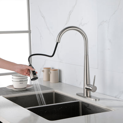 Modern Stainless Steel Kitchen Faucet