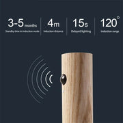 Intelligent Human Body Induction Night Light